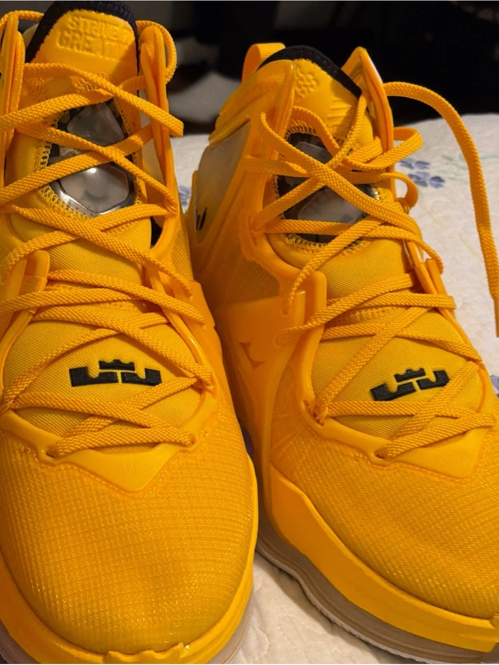 Nike- LeBron 19 Hard Hat - Size 11